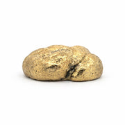 Turd