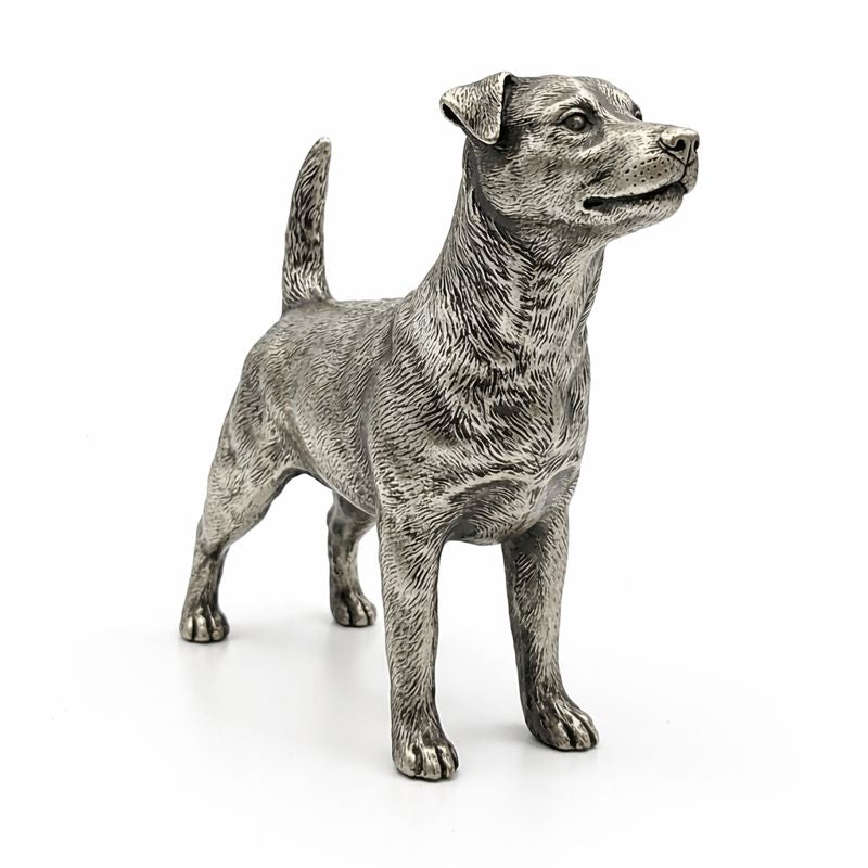 Jack Russell Terrier V2