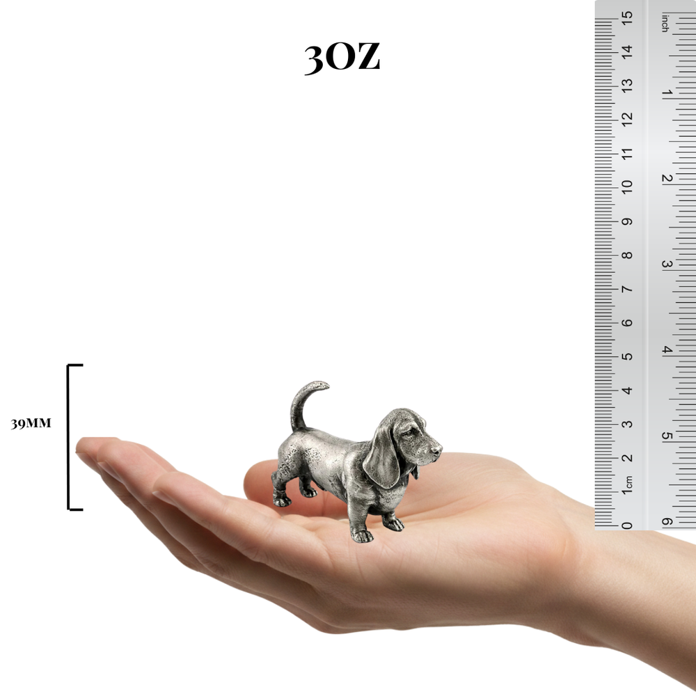 Basset Hound