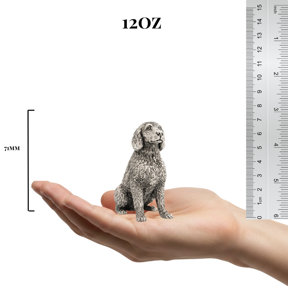 Labradoodle
