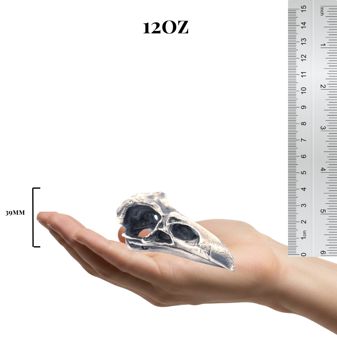 Raven Skull