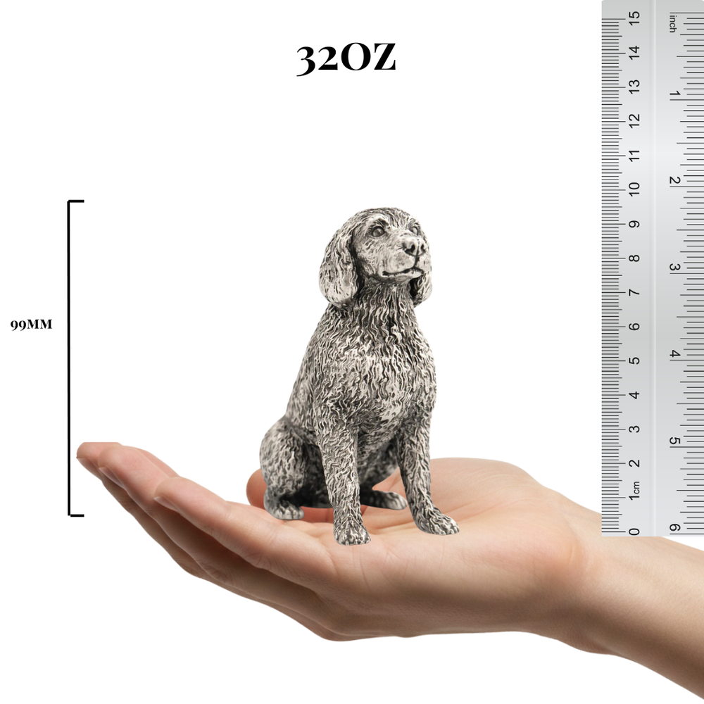 Labradoodle