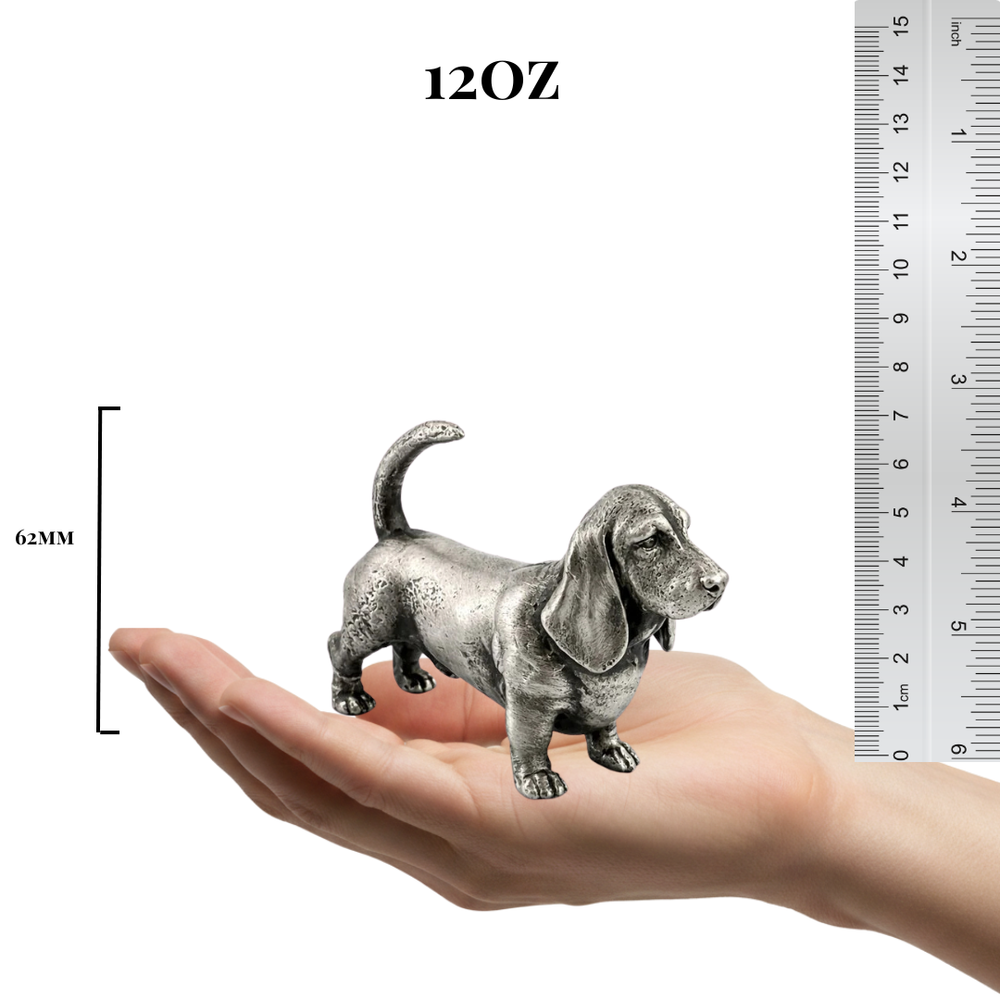 Basset Hound