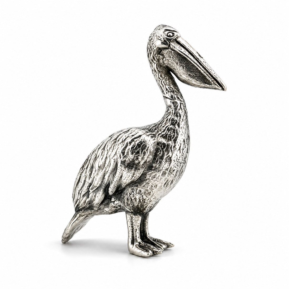 Pelican