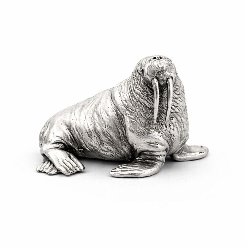 Walrus