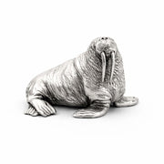 Walrus