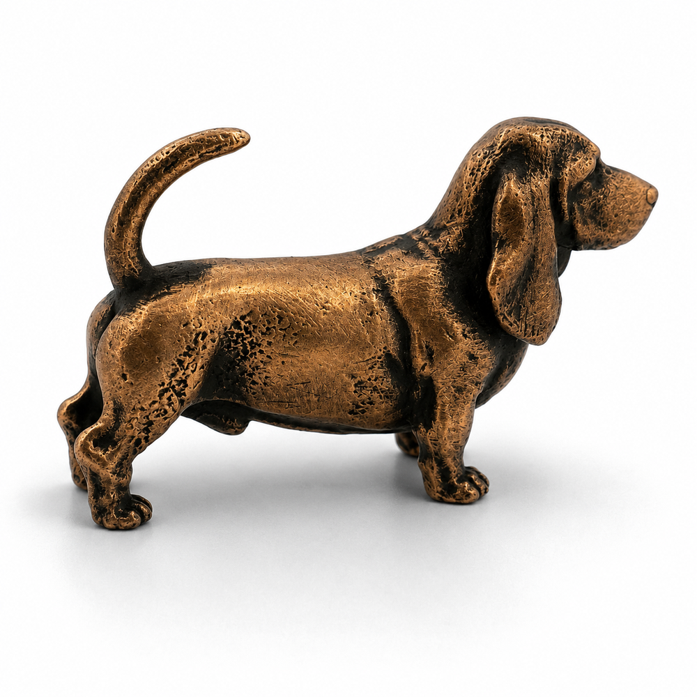 Basset Hound