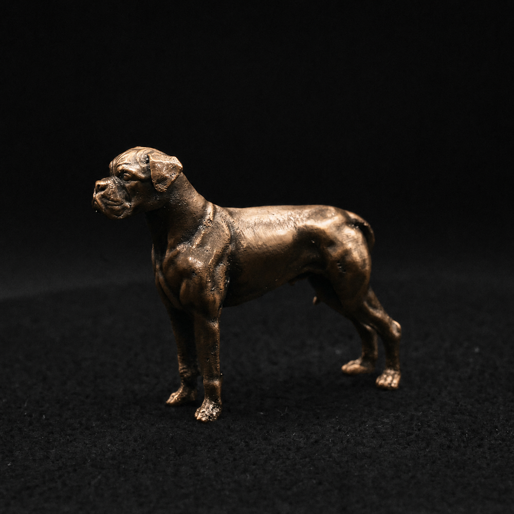 Boxer