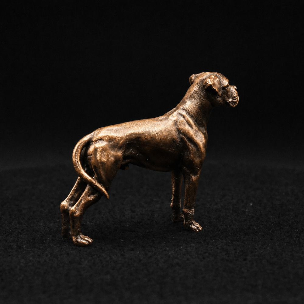 Boxer