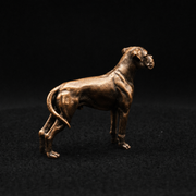 Boxer