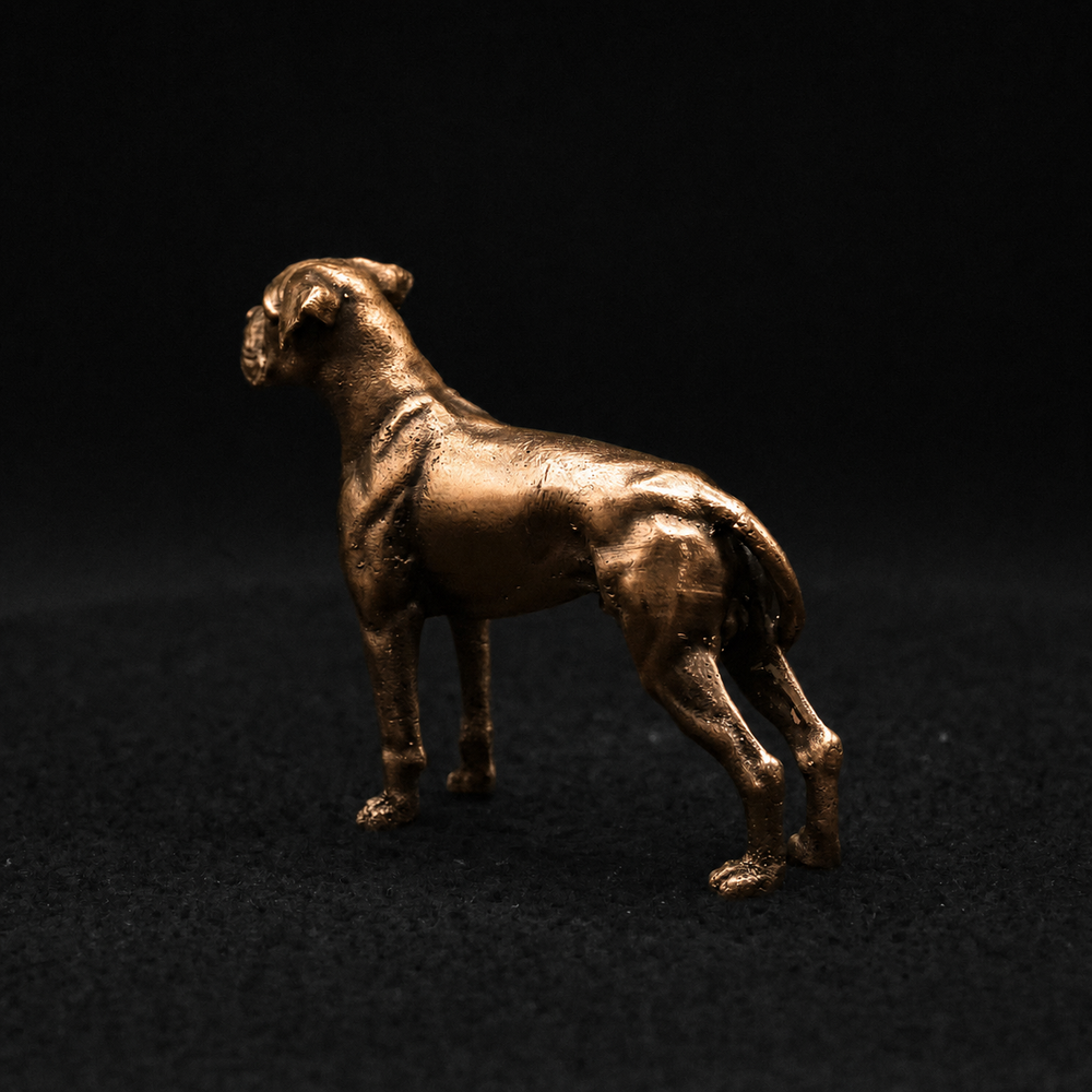 Boxer