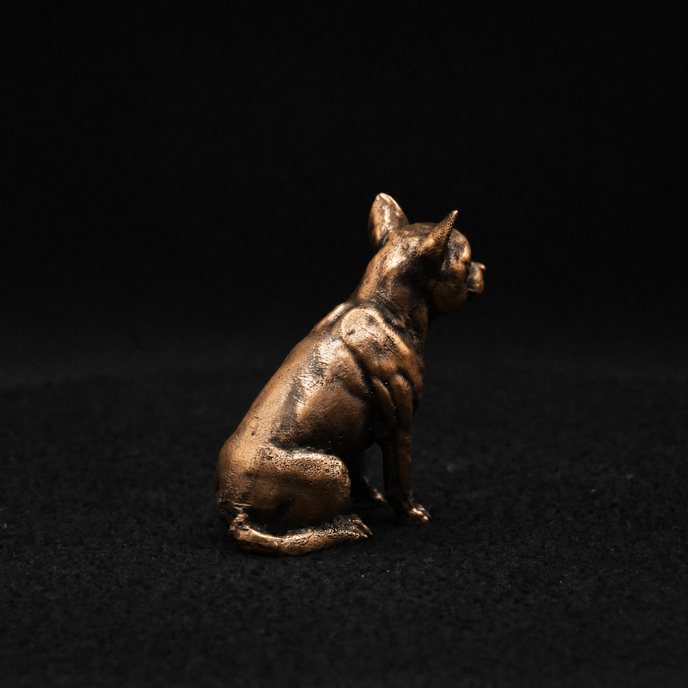 Chihuahua