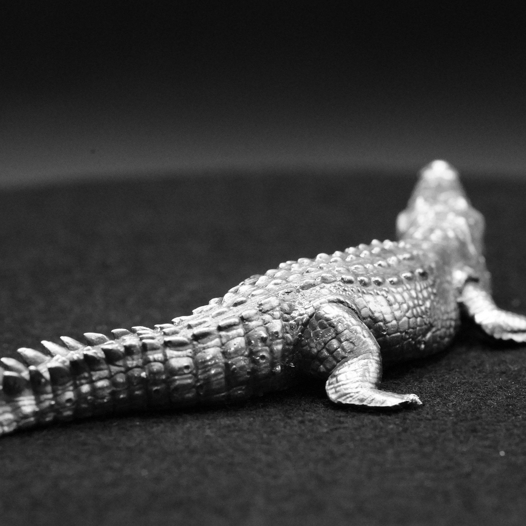 Crocodile hand poured 999 silver statue collectible by Gold Spartan