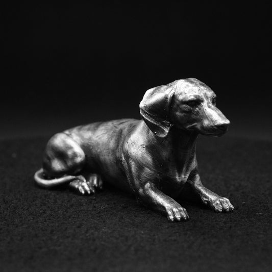 Dachshund