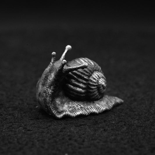 Snail