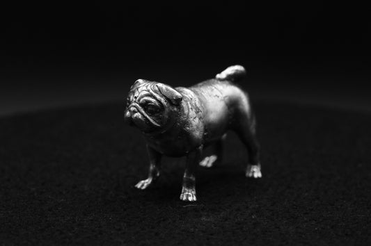 Pug