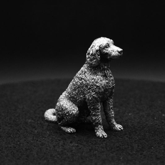 Labradoodle