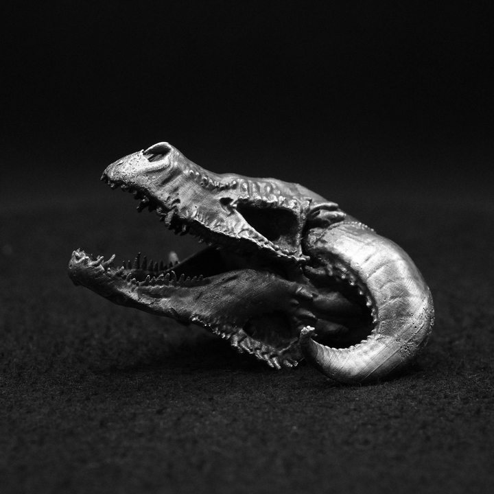 Dragon Skull hand poured 999 silver statue collectible by Gold Spartan