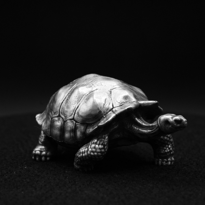 Galapagos Tortoise hand poured 999 silver statue collectible by Gold Spartan