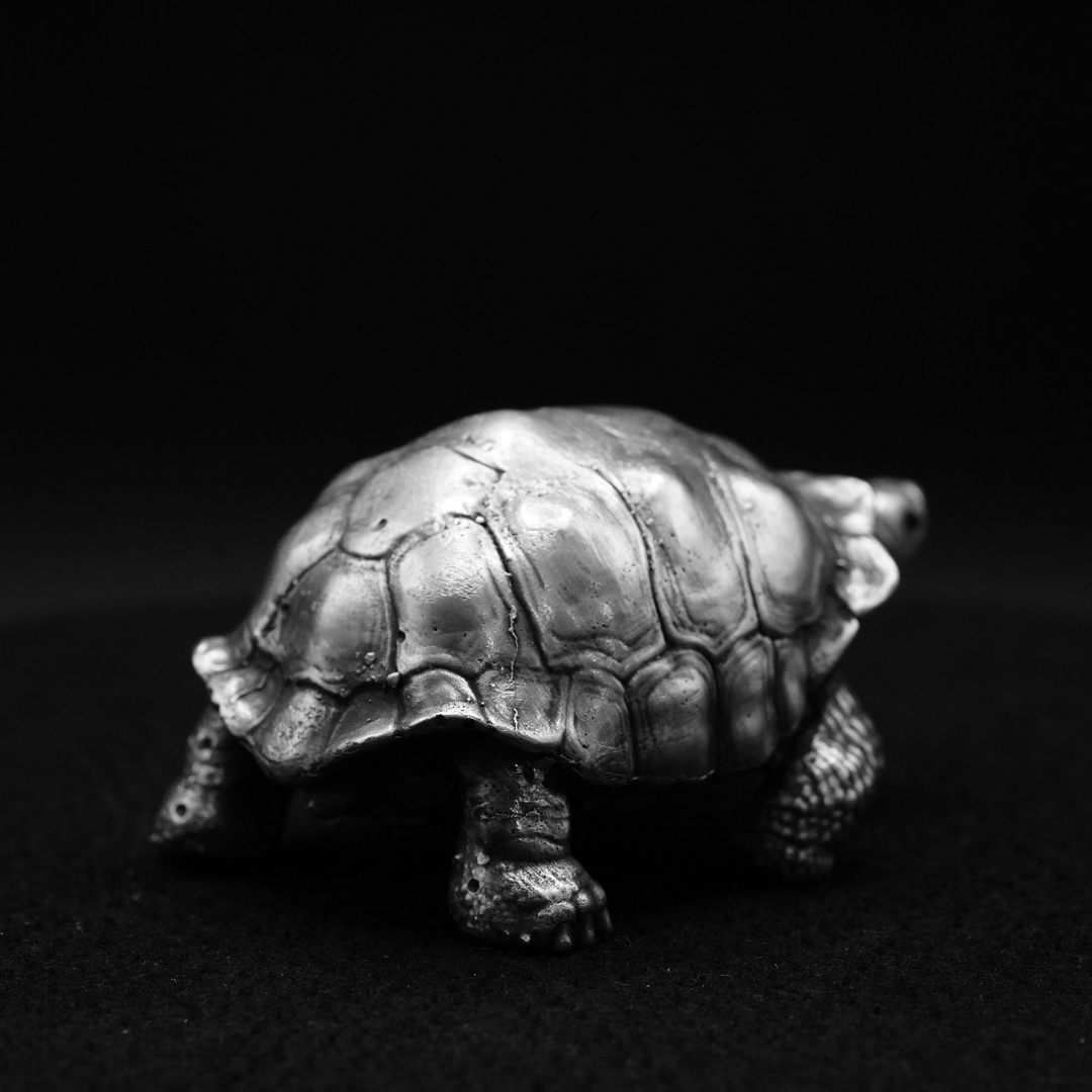 Galapagos Tortoise hand poured 999 silver statue collectible by Gold Spartan