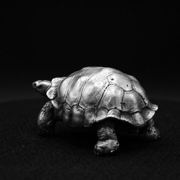 Galapagos Tortoise hand poured 999 silver statue collectible by Gold Spartan