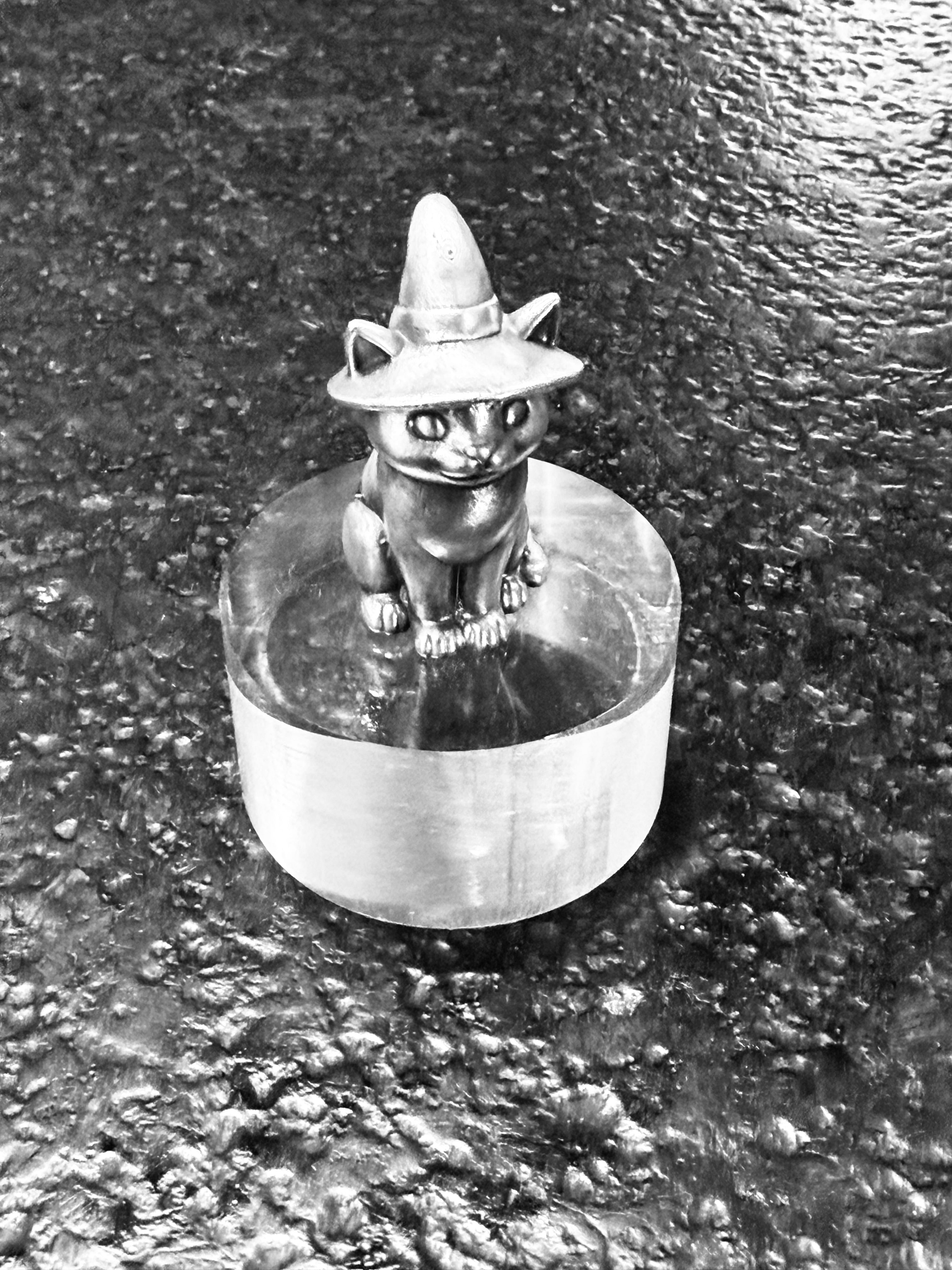 Halloween Cat