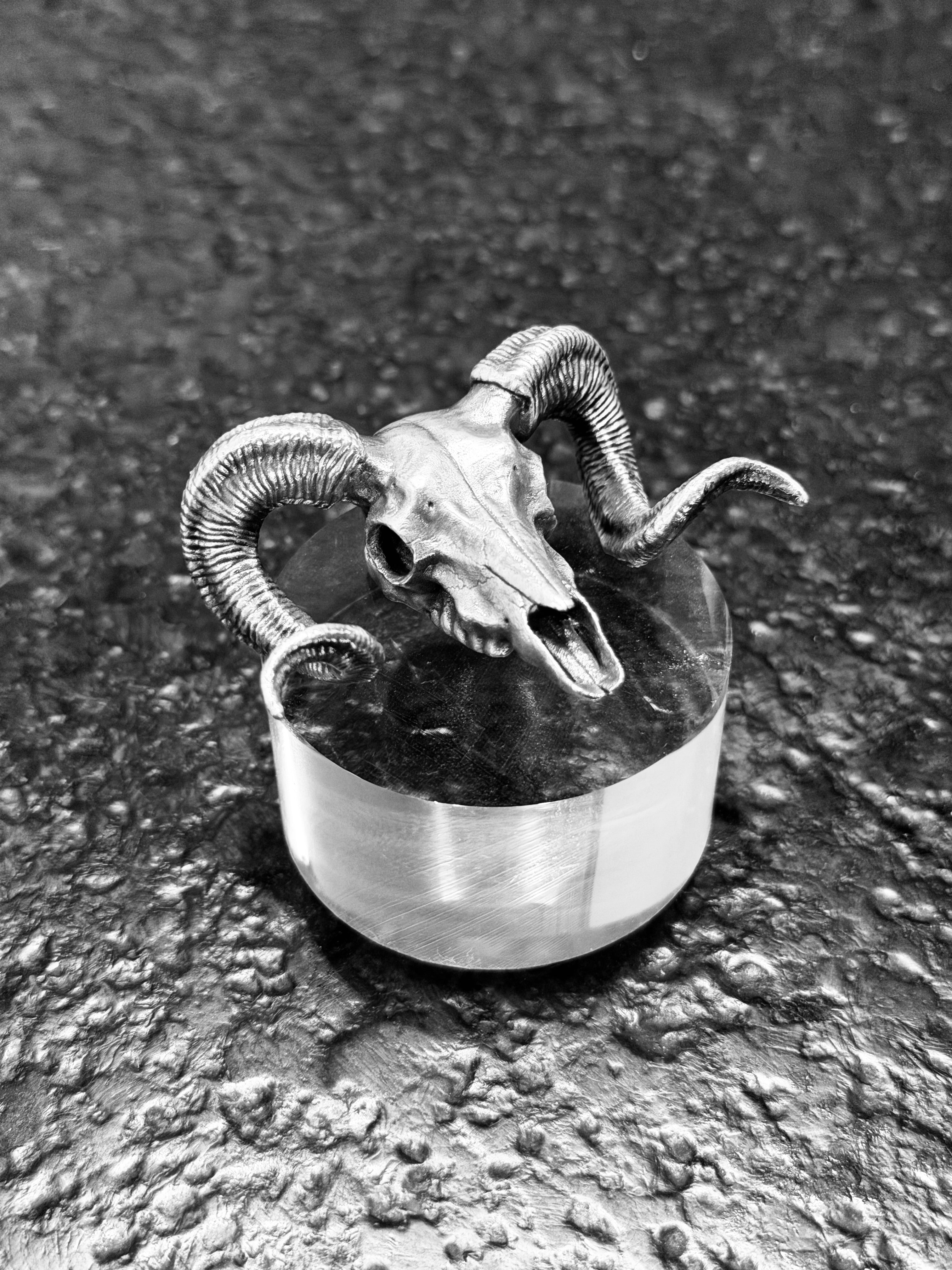 Ram Skull