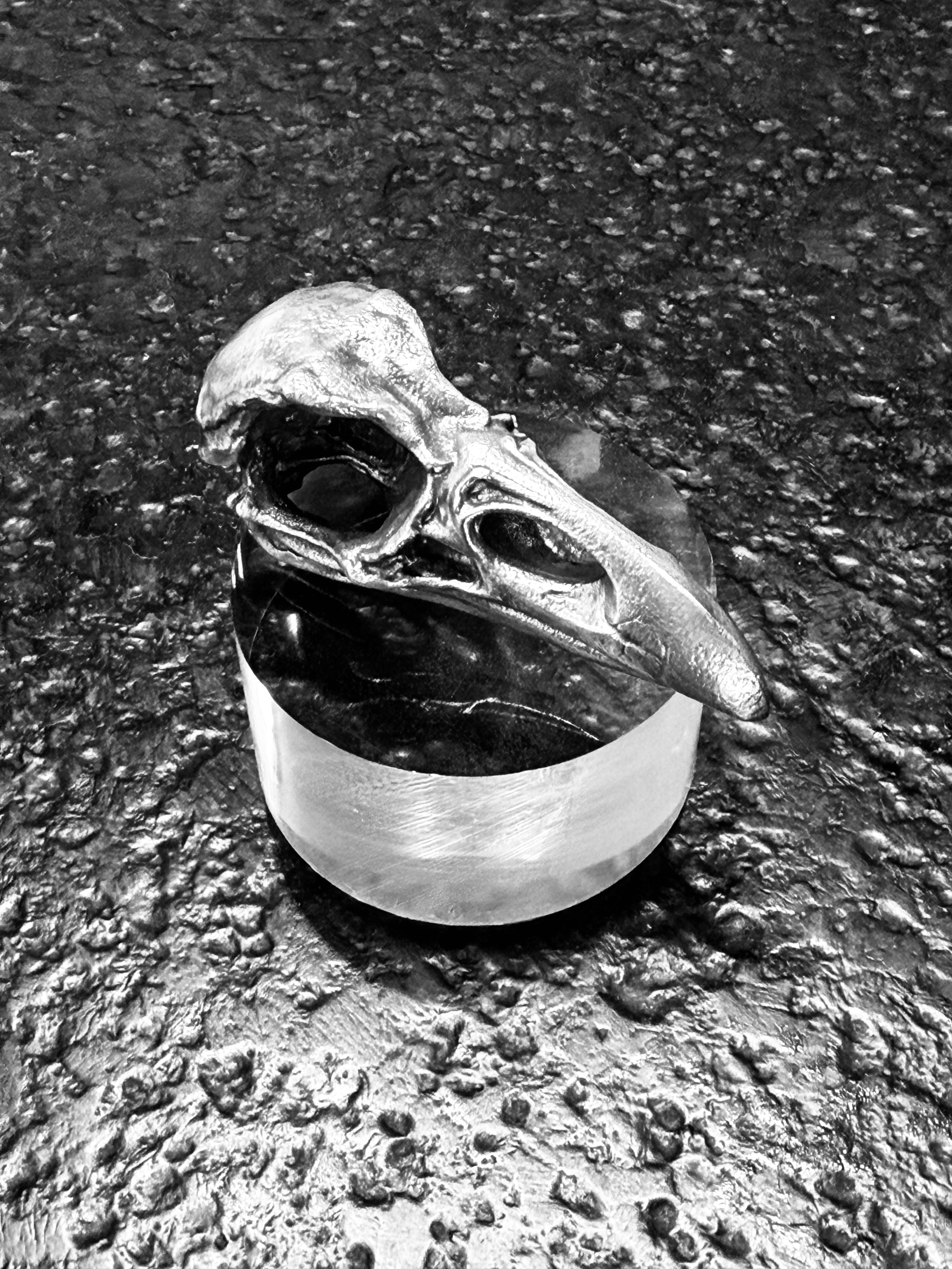 Raven Skull