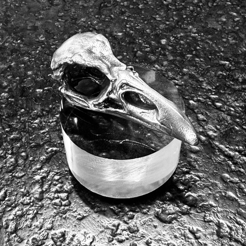 Raven Skull