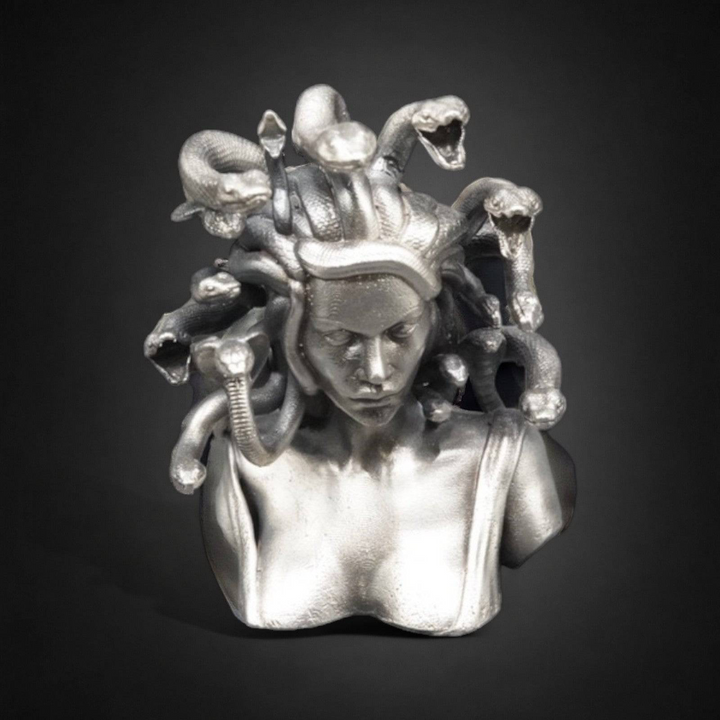 Medusa Bust hand poured 999 silver statue collectible by Gold Spartan