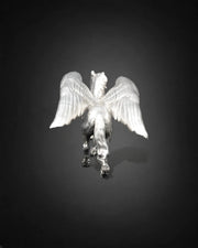 Pegasus