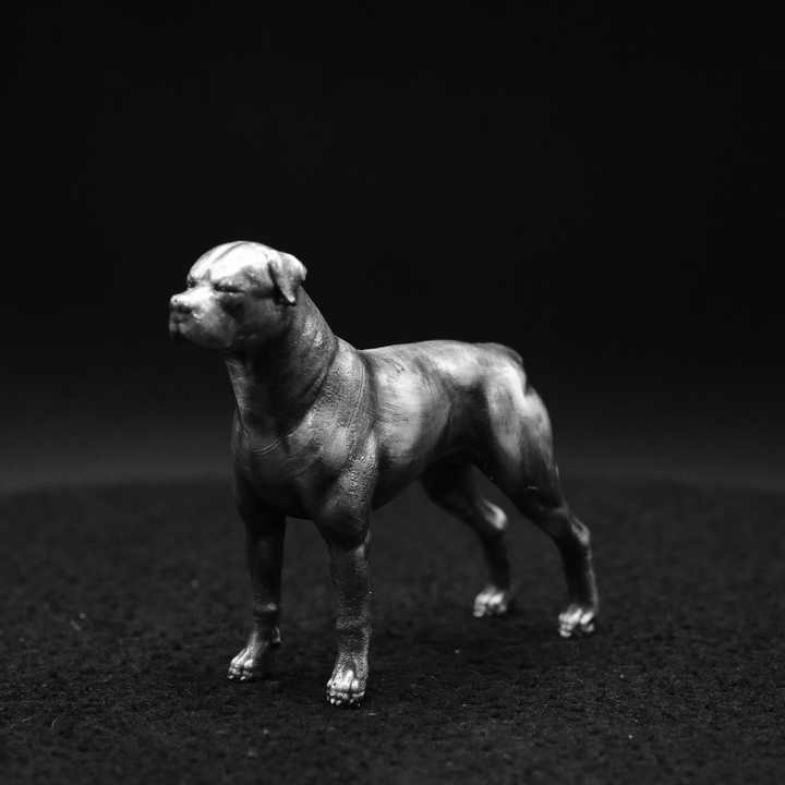 Rottweiler hand poured 999 silver statue collectible by Gold Spartan