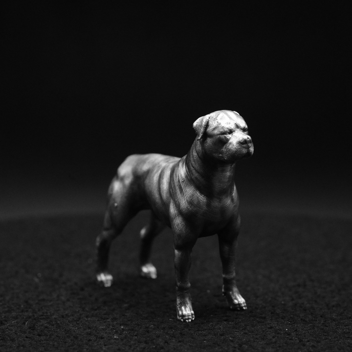 Rottweiler hand poured 999 silver statue collectible by Gold Spartan