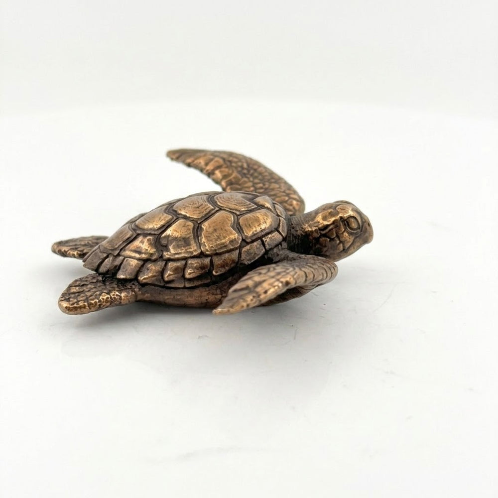 Sea Turtle