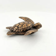 Sea Turtle