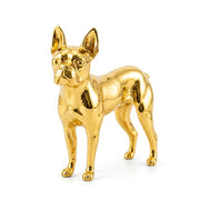 Boston Terrier V2