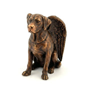 Labrador Angel