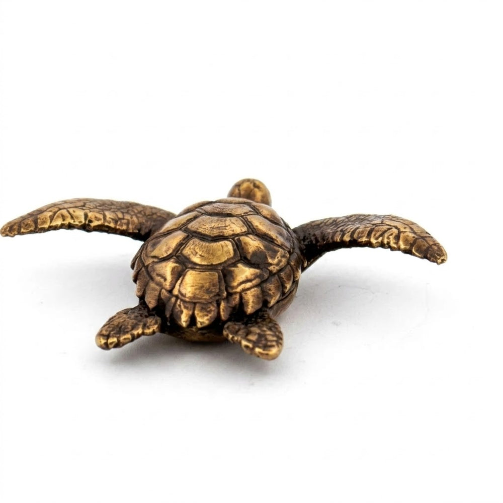 Sea Turtle
