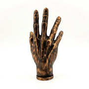 Anatomical Hand