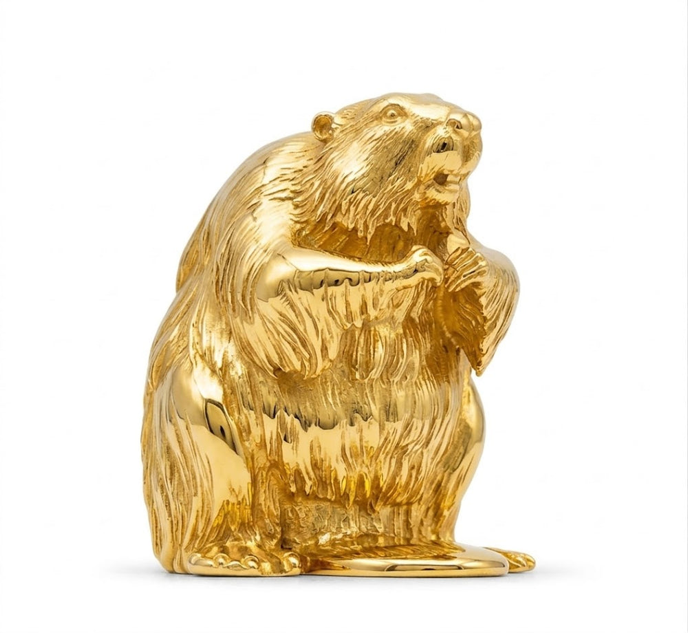 Beaver