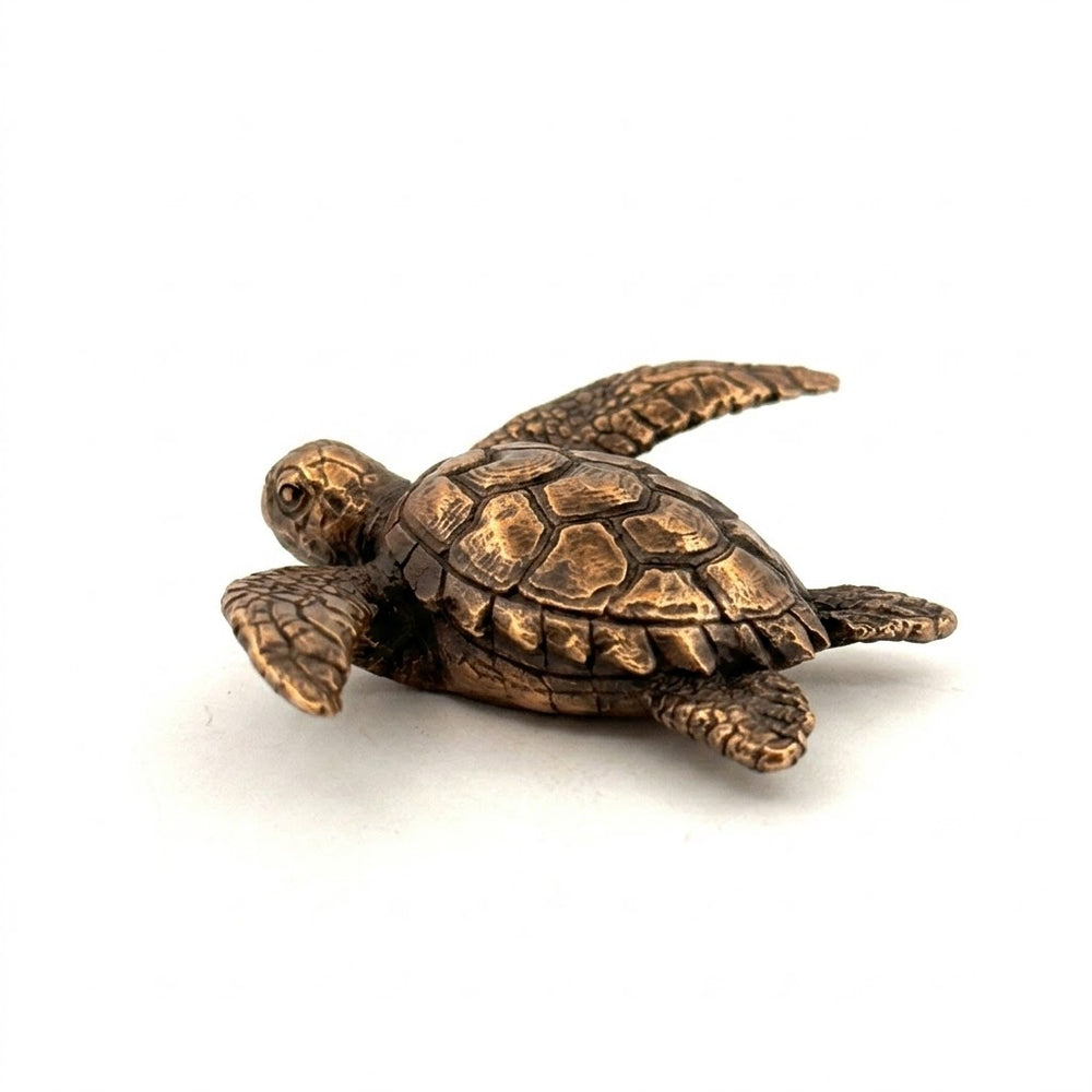 Sea Turtle