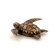 Sea Turtle