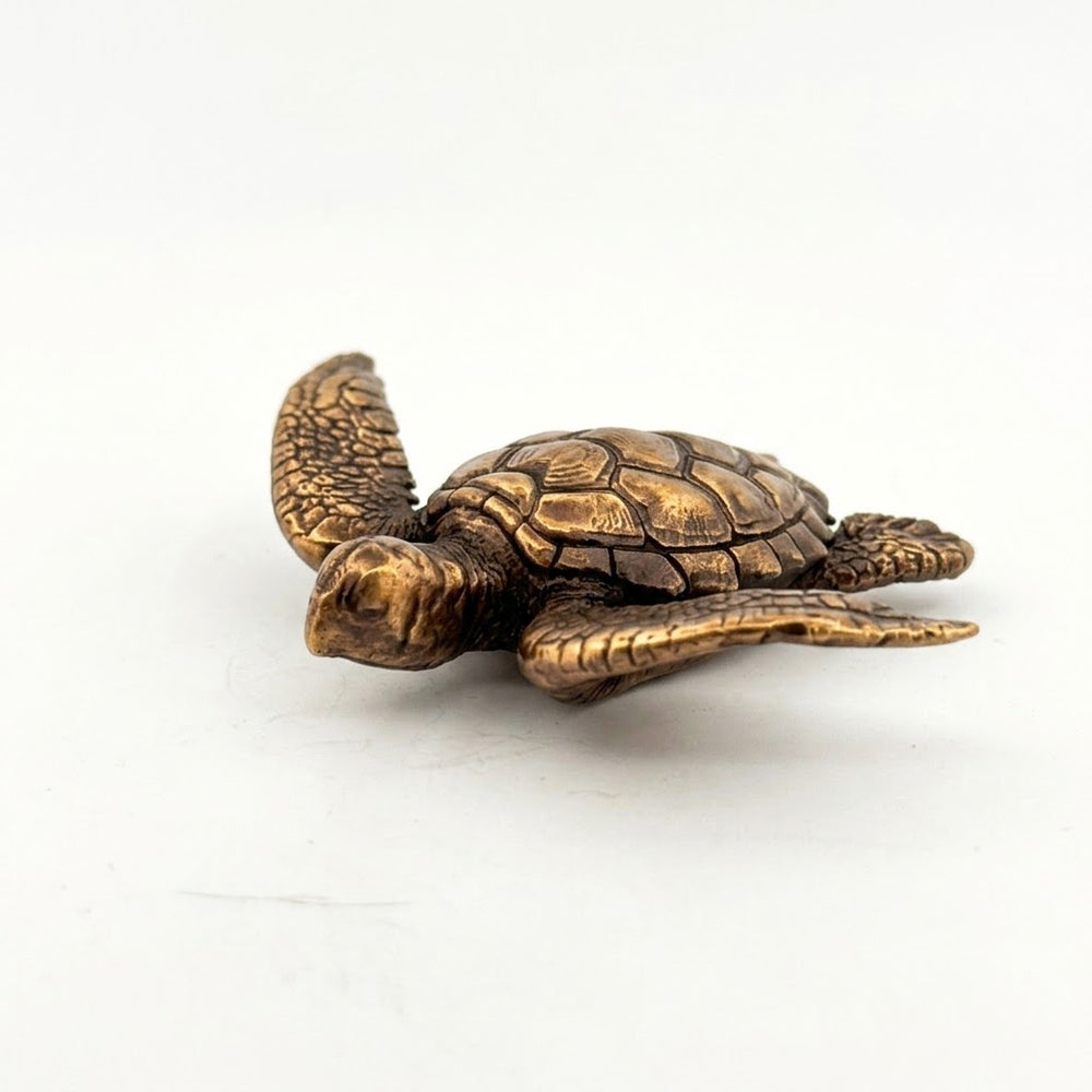 Sea Turtle
