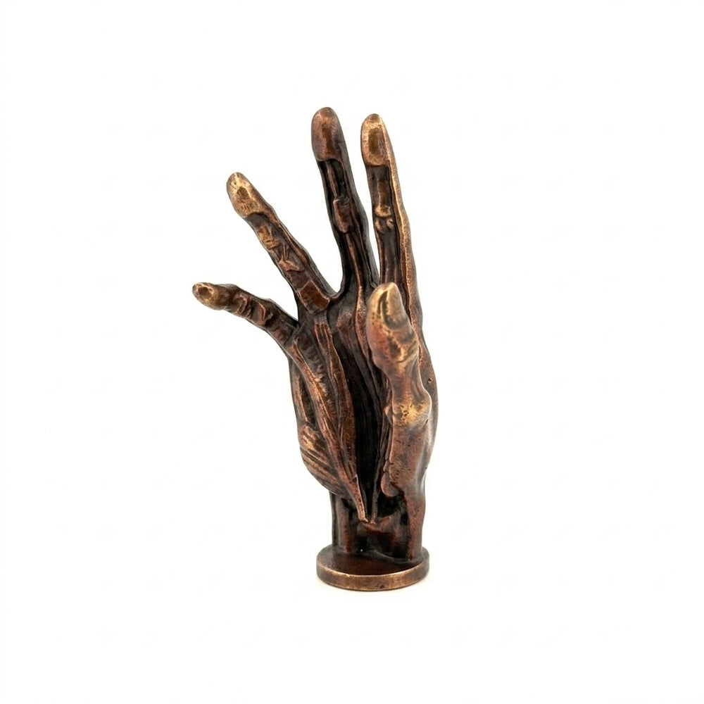 Anatomical Hand