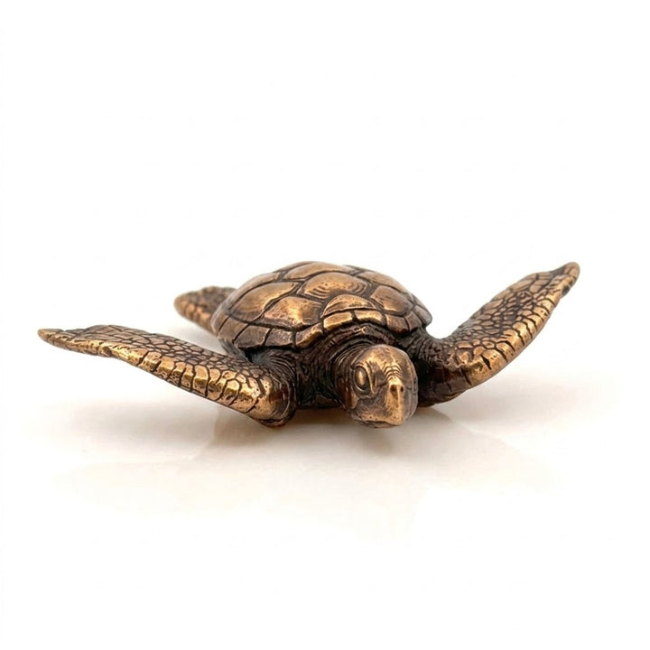 Sea Turtle
