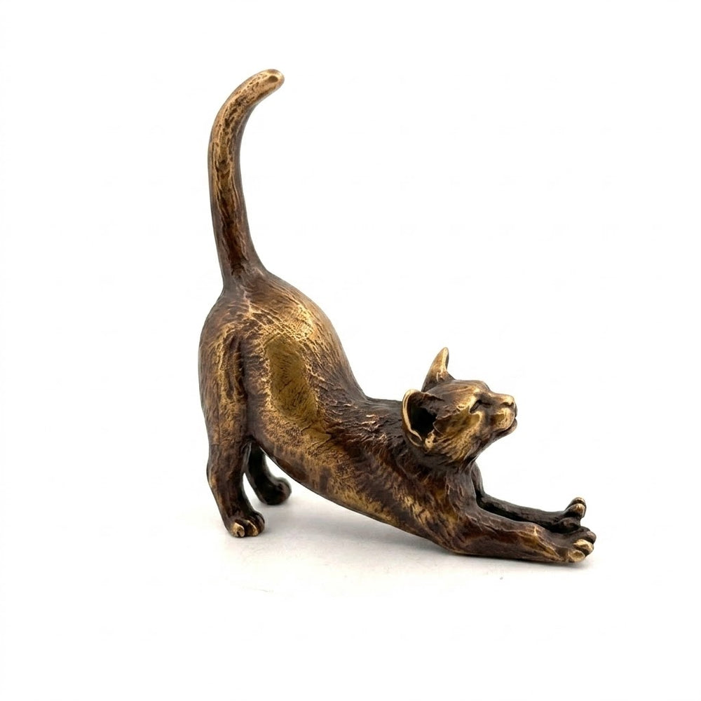 Stretching Cat