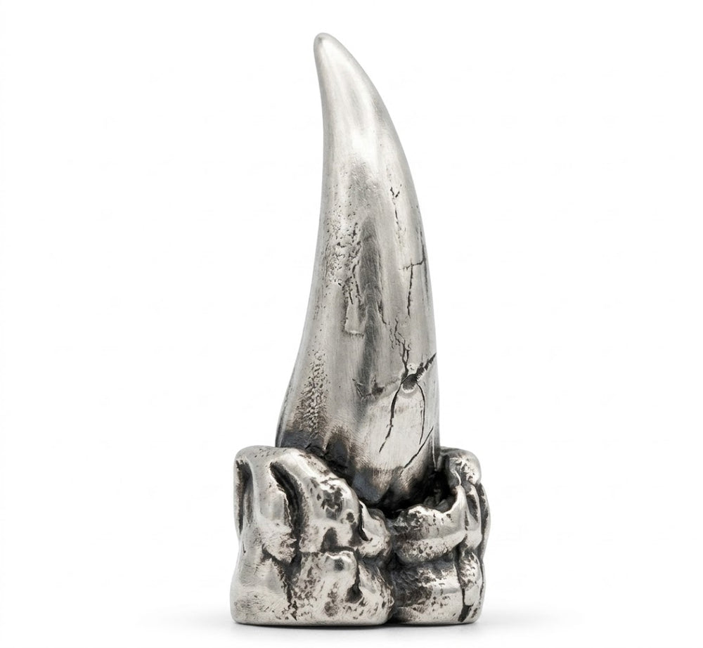 T-Rex Tooth
