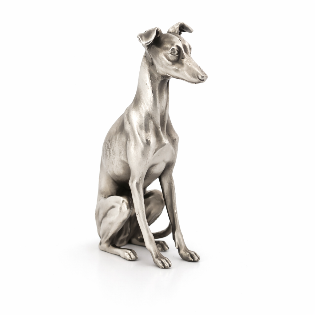 Whippet