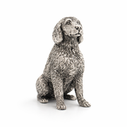 Labradoodle