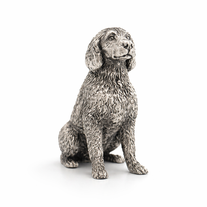 Labradoodle